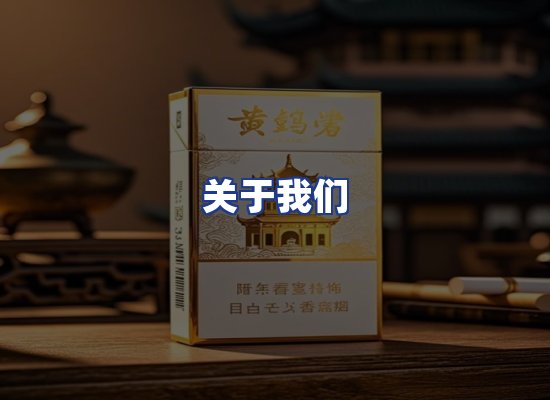 专业团队